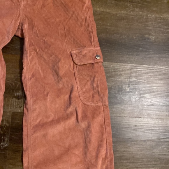 American Eagle Outfitters Corduroy Cargo Pants - Picture 4 of 8